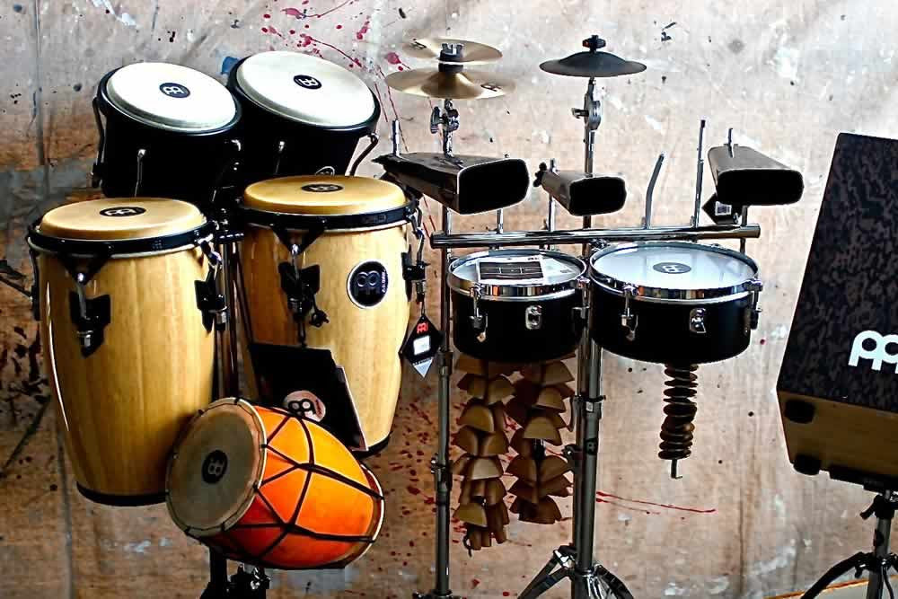 MEINL ピックアップ・カホンスネア TMPPCS [PROFESSIONAL PICKUP